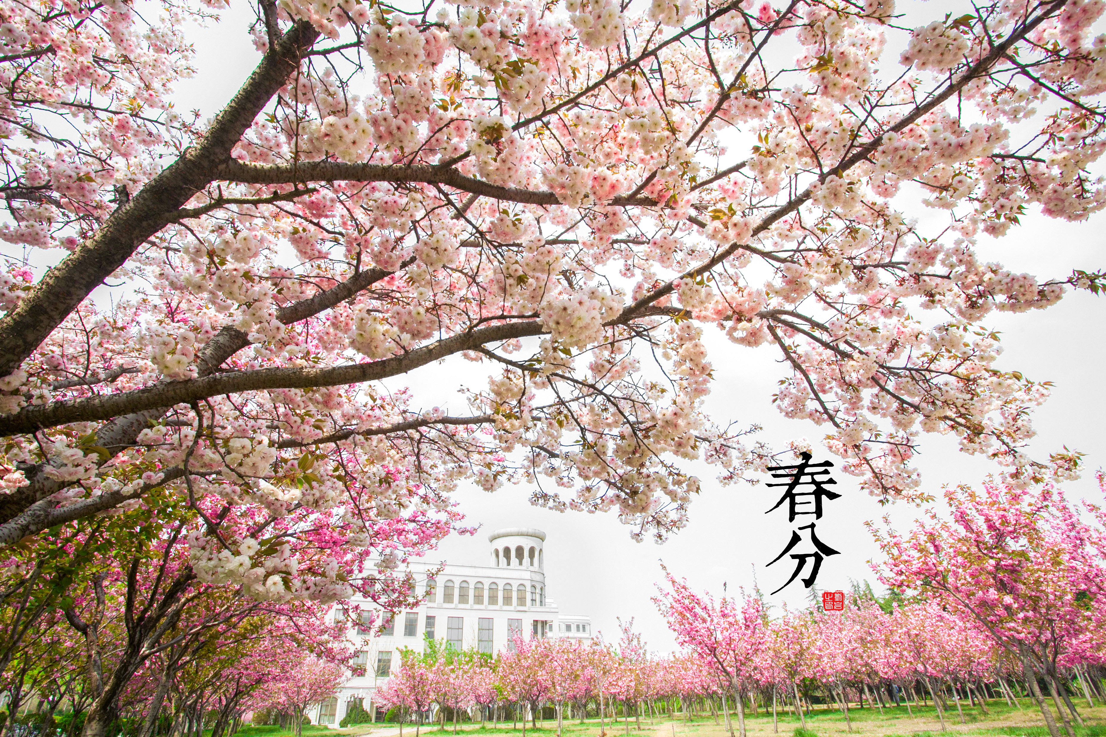 04春分.jpg
